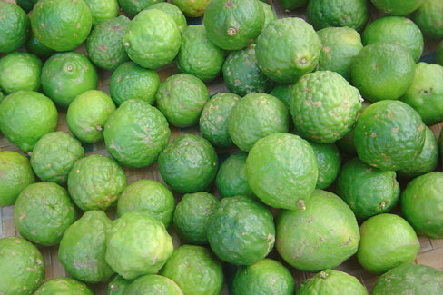 Madagascar Combawa - Kaffir Lime