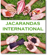 contact jacarandas