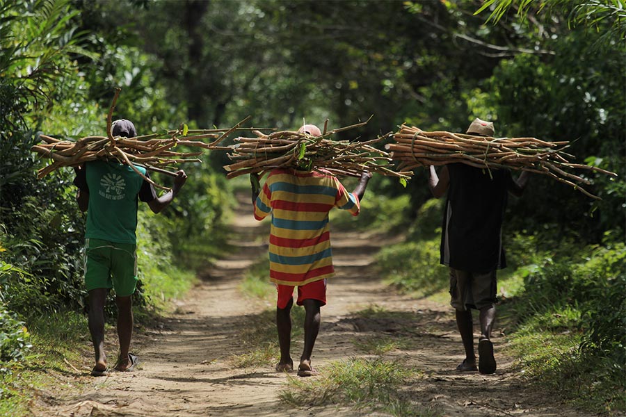 Producteur d'épices bio de Madagascar | Certifications et Engagements