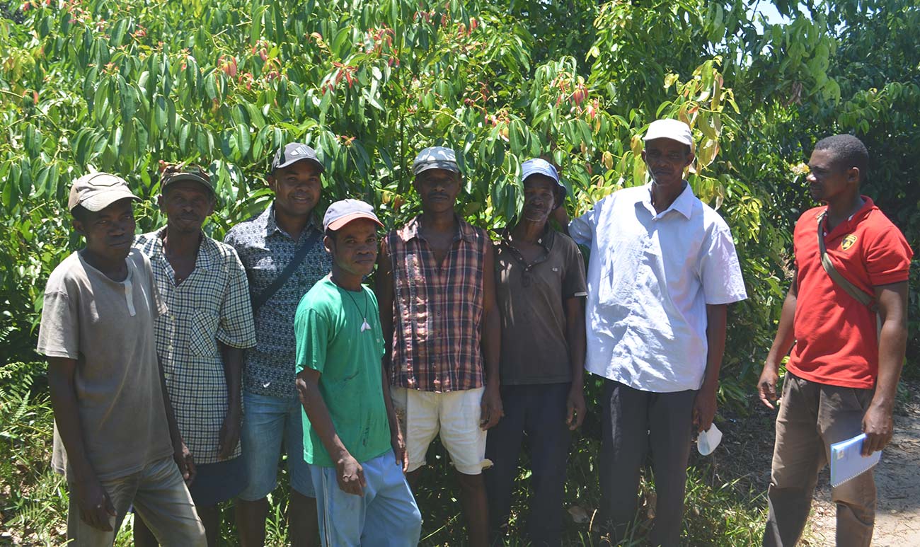 agricultural cooperatives in Madagascar