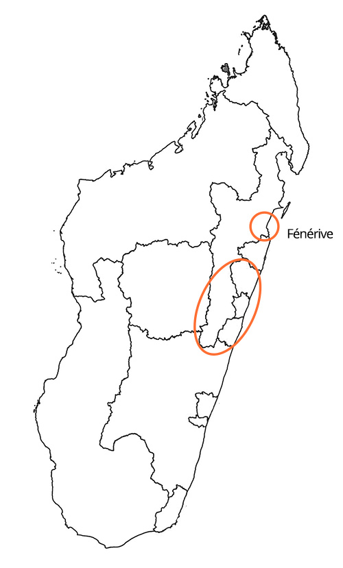 producer of turmeric in Madagascar