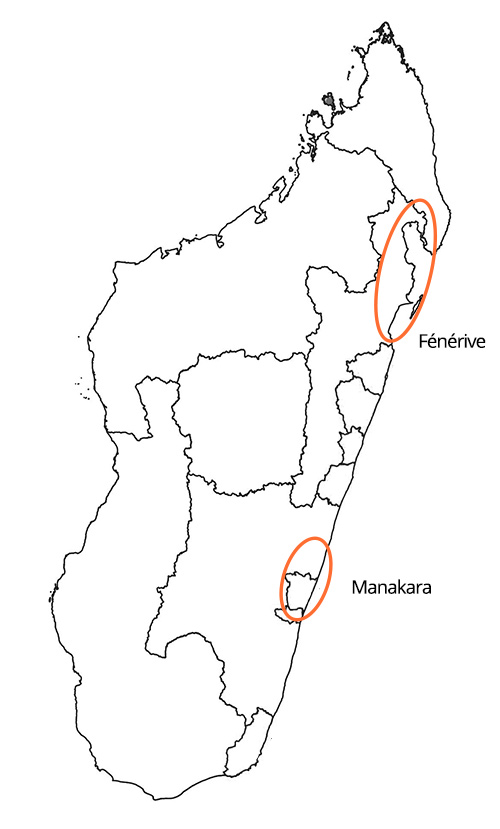 map production of cloves in Madagascar
