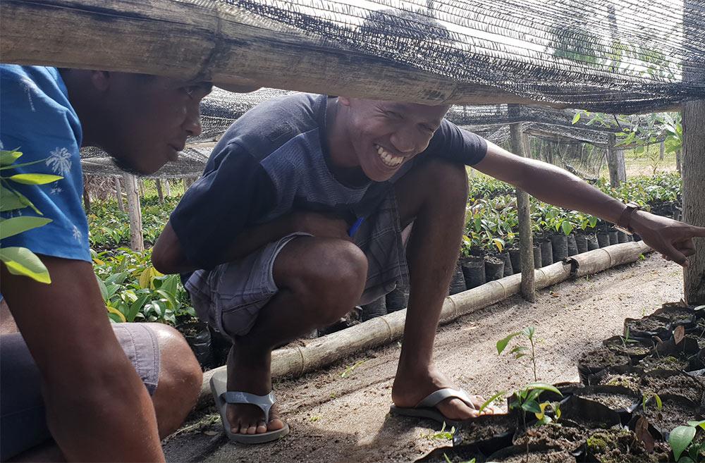 Producteur d'épices bio de Madagascar | Certifications et Engagements